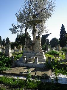 CIMETIERE DE TAMAZOUHET D ORAN EN MARS 2012  (153)